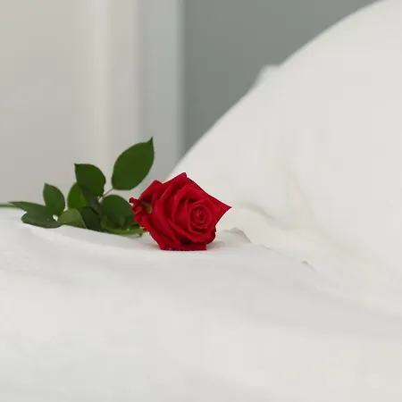 Agrilea * סנטו סטפנו אל מארה