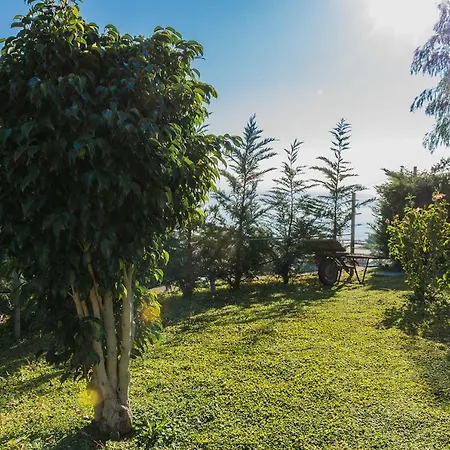 Vakantieboerderij Agrilea *